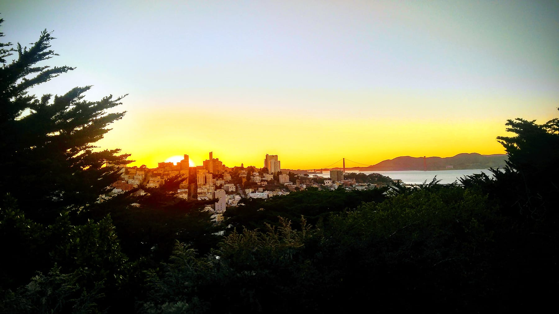 Coit Tower