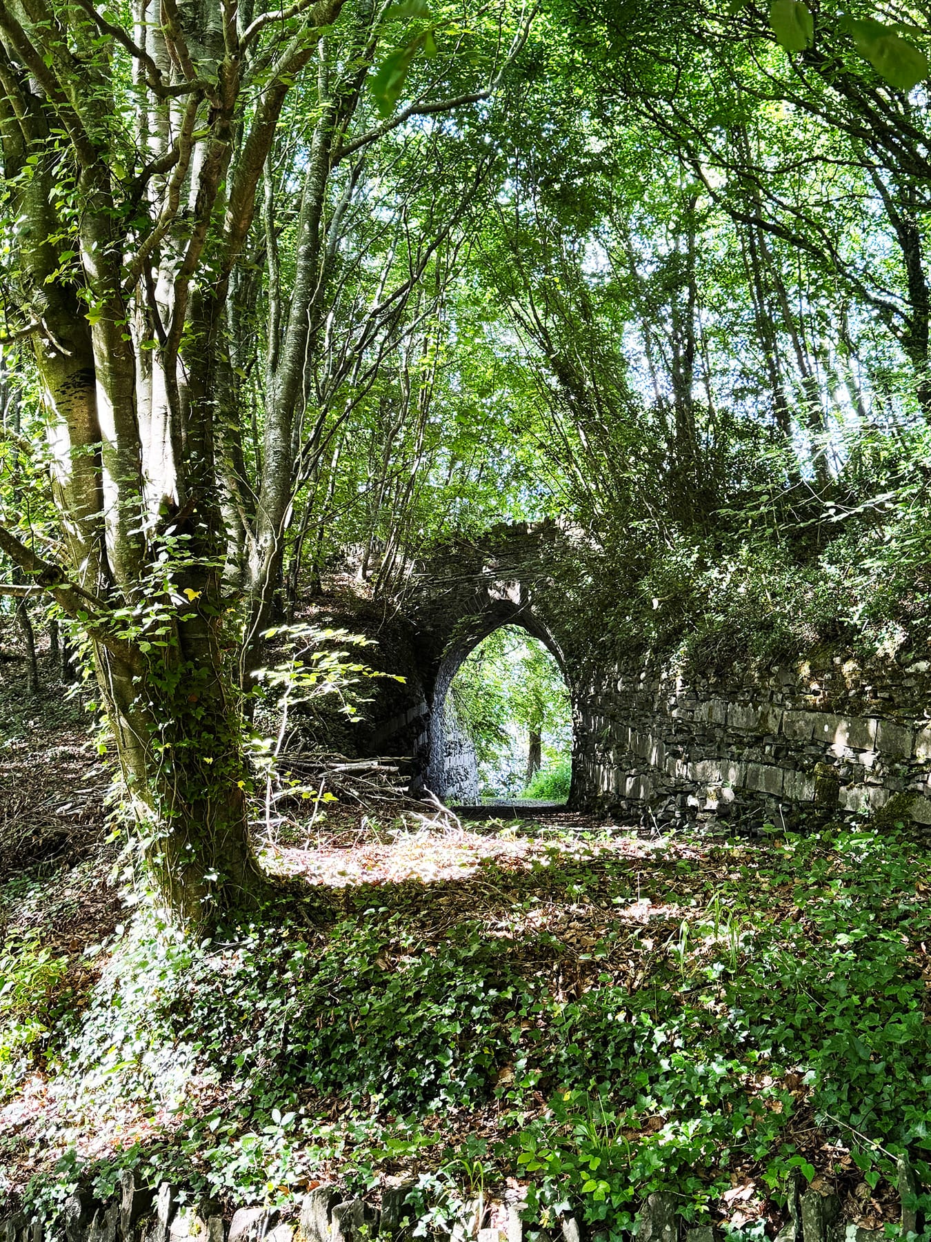 Heywood Gardens